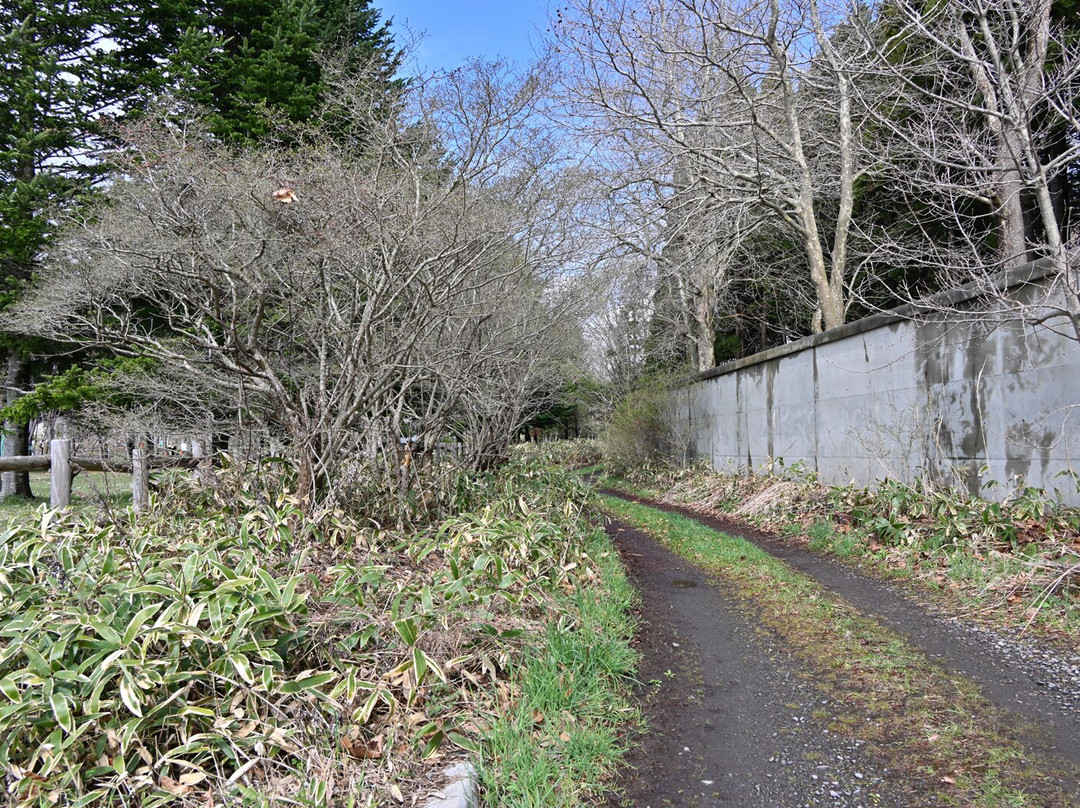 Shimin no Mori-函馆市必去景点