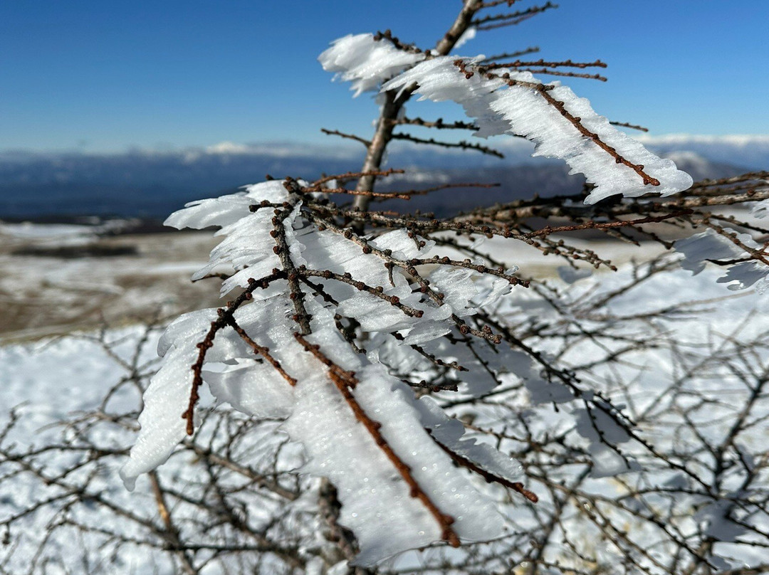 Kurumayama Highland-茅野市必去景点