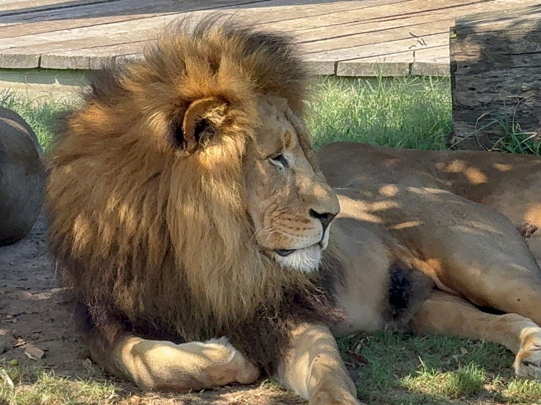 奥兹环山游-悉尼必去景点