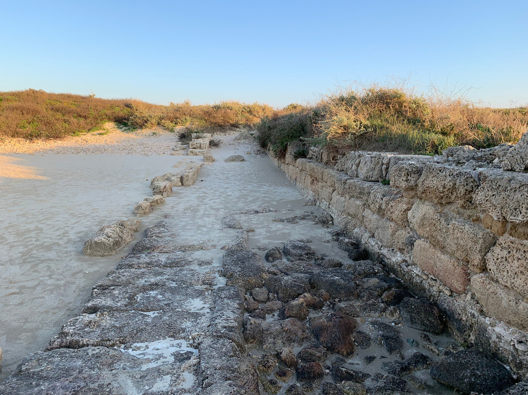 Tel Dor National Park-Nahsholim必去景点