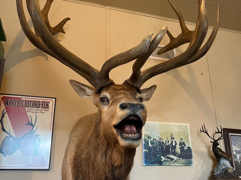 Crested Butte Mountain Heritage Museum-克雷斯特德比特必去景点