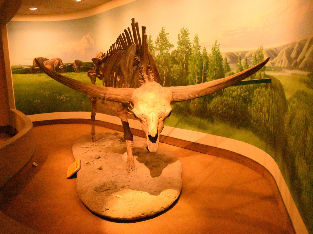 Royal Saskatchewan Museum-里贾纳必去景点