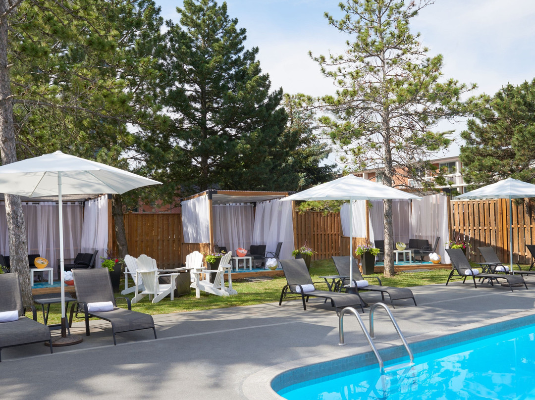 喜来登北多伦多公园大道酒店主图