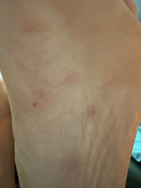 Hampton Inn Valdosta/Lake Park Area主图