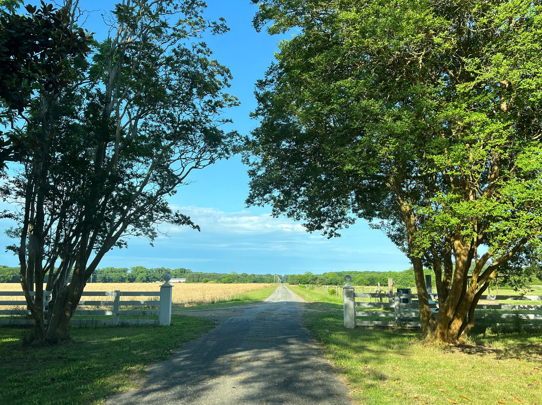 Esperanza Riding Company - Eastern Shore of Virginia景点图片