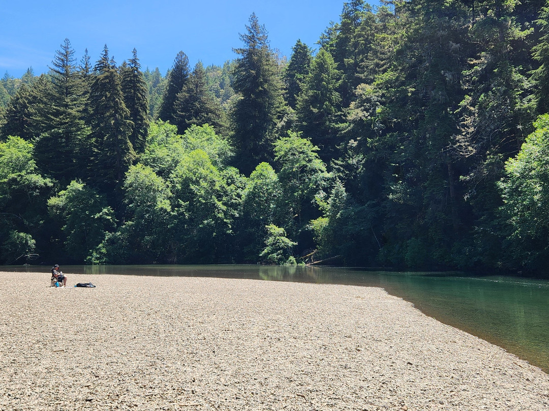 Gualala River Redwood Park景点图片
