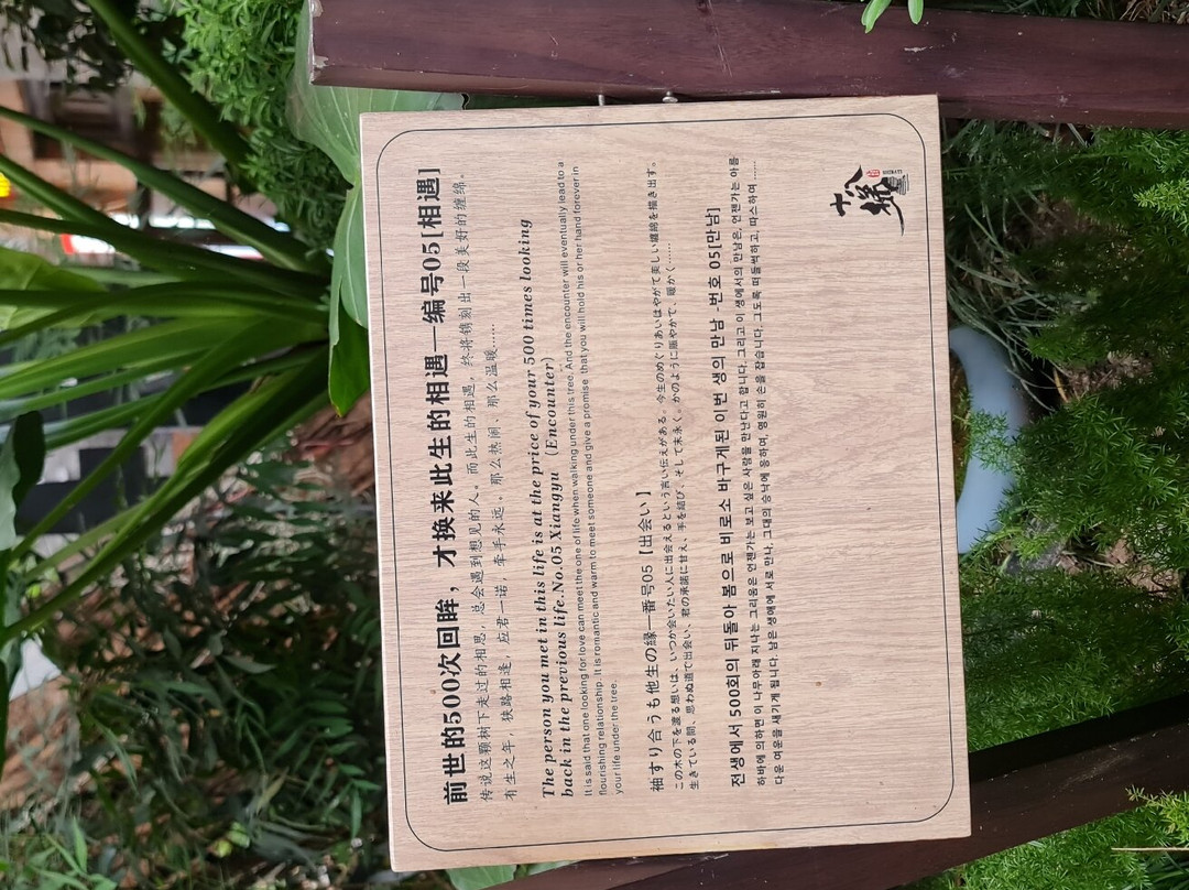 十八梯景点图片