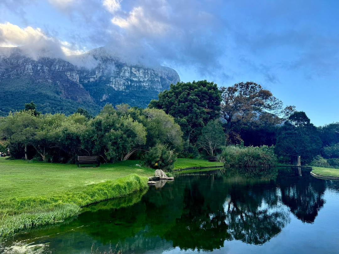 Cape Trekking-桌山国家公园必去景点