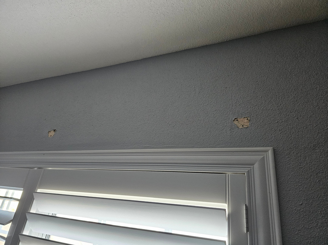 The Palomar Inn主图