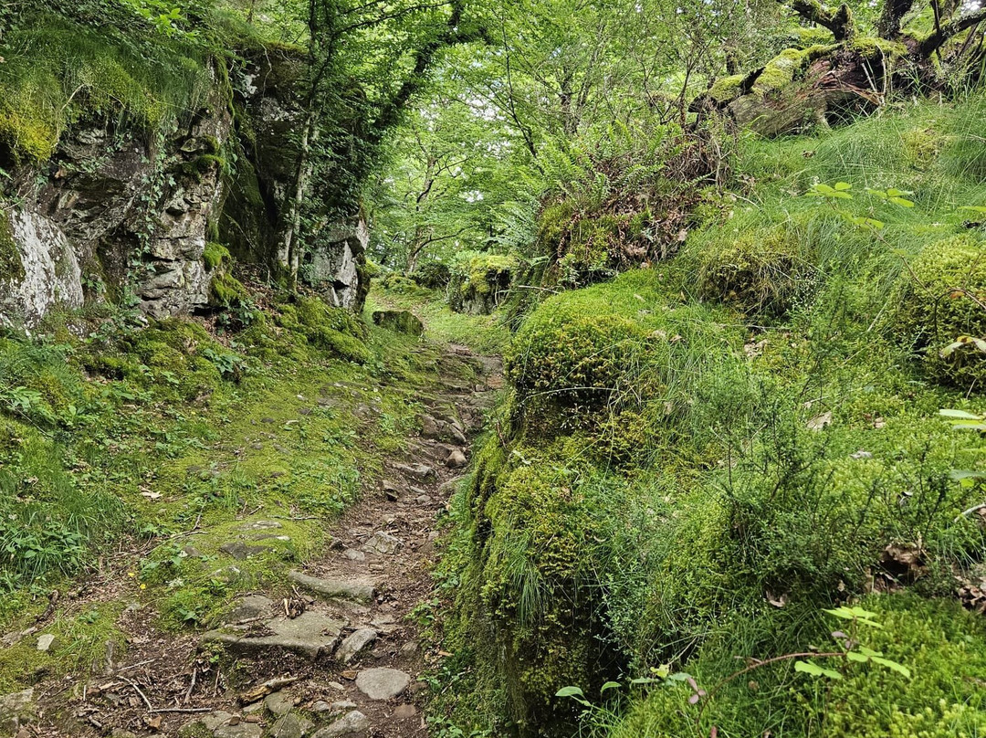 Notre Dame Du Roc-Servieres-le-Chateau必去景点