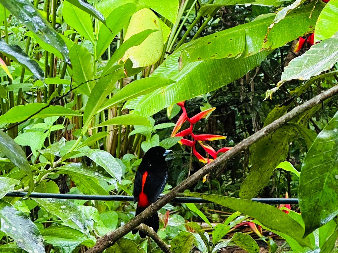 GreenPoint Drake Bay主图