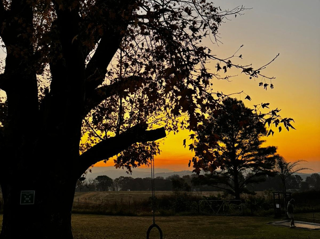 Ardmore Guest Farm主图