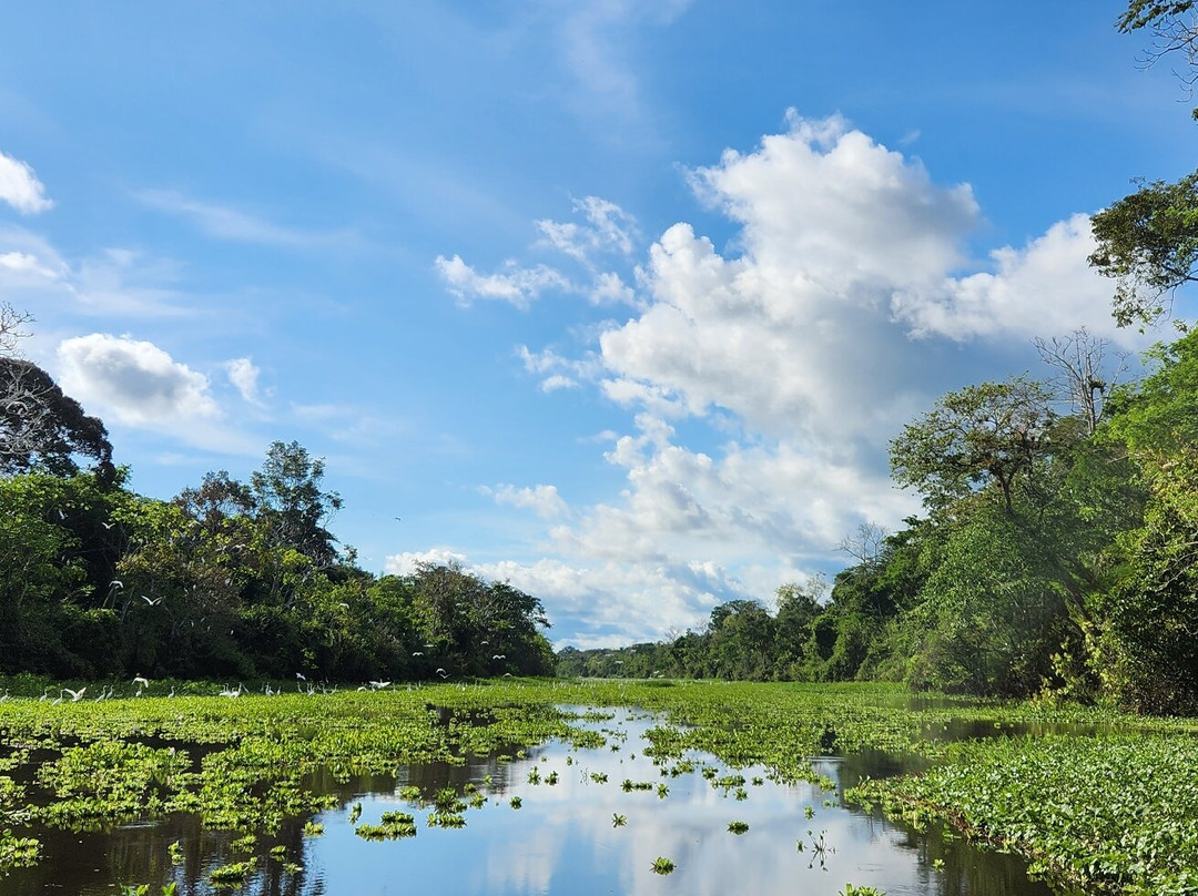 Muyuna Amazon Lodge Experience景点图片