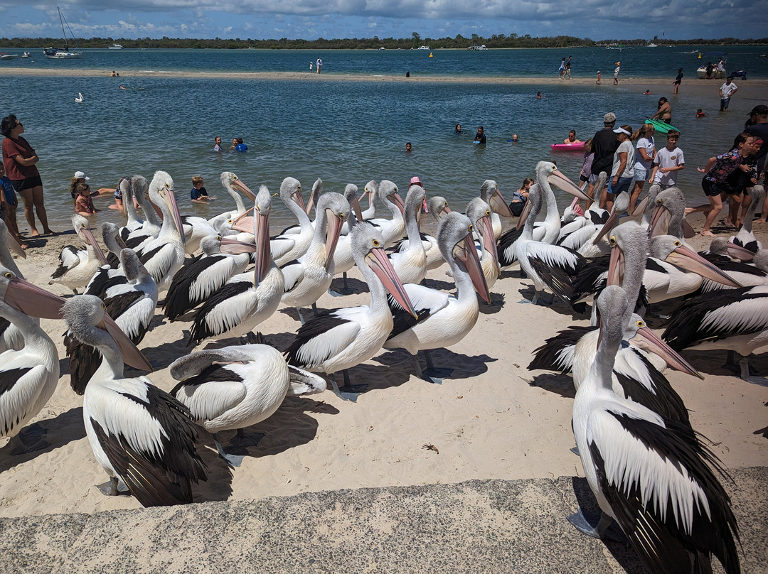 Ian Dipple Lagoon-拉布拉多必去景点