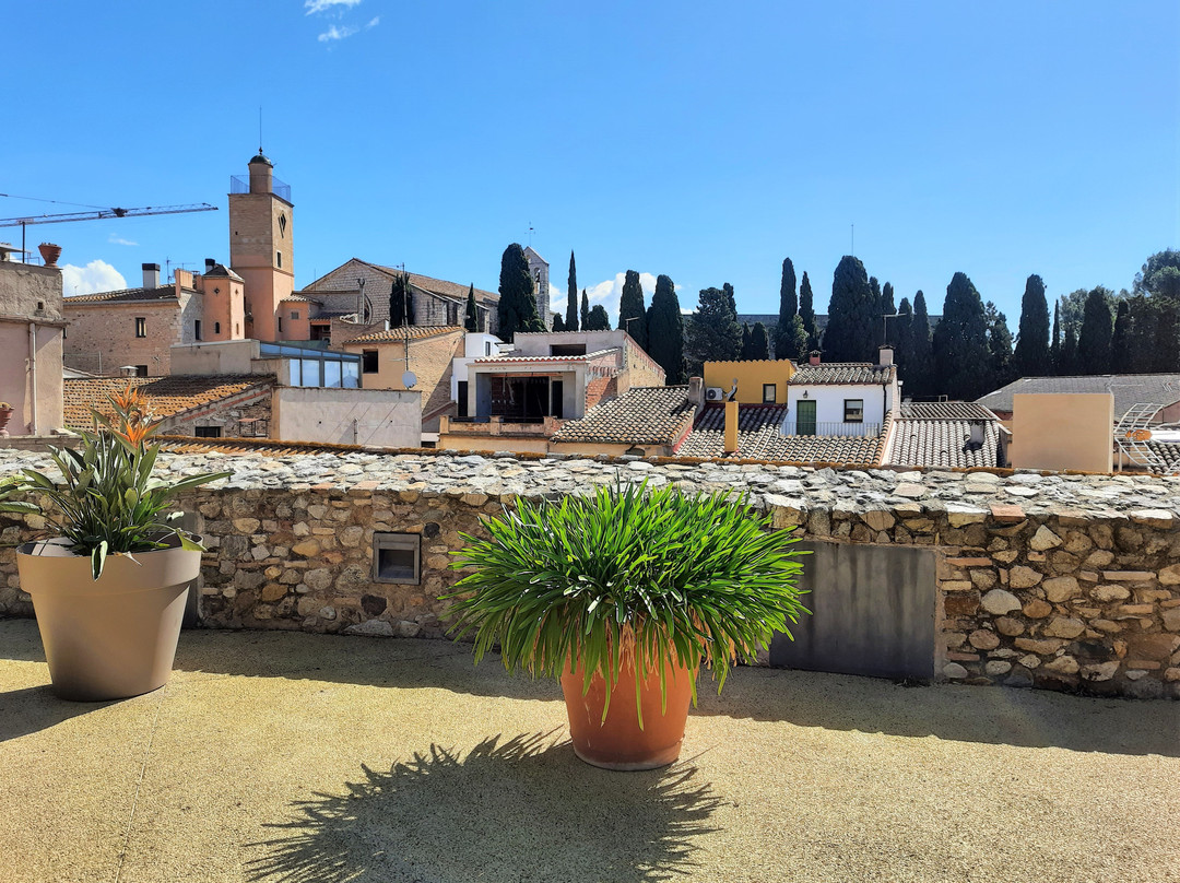 Romanesque cloister of Sant Domenec (Museum of the town)景点图片