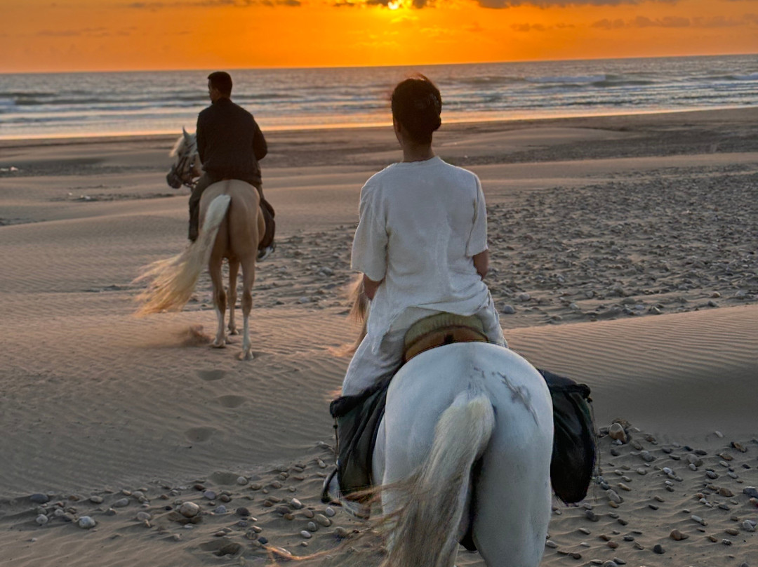 Morocco Ocean Horses-Sidi Kaouki必去景点