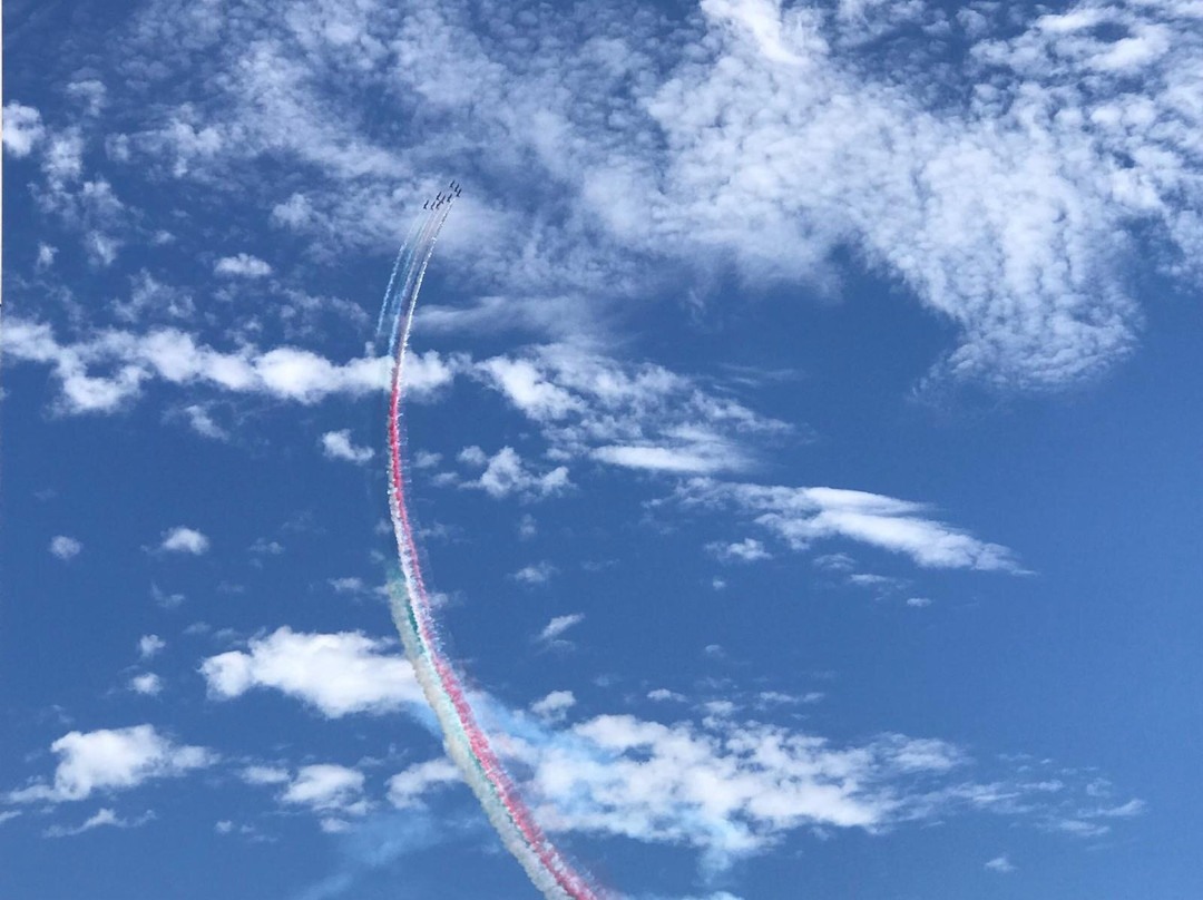 Patrulla Aguilla-Lo Pagán必去景点