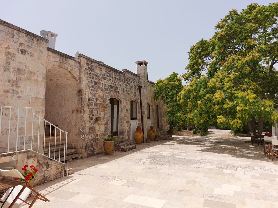 Corte del Camedrio主图