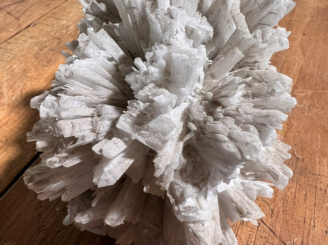 Missouri Institute of Natural Science-斯普林菲尔德必去景点