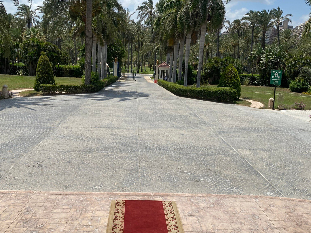 Helnan Palace Hotel - Adults Only主图