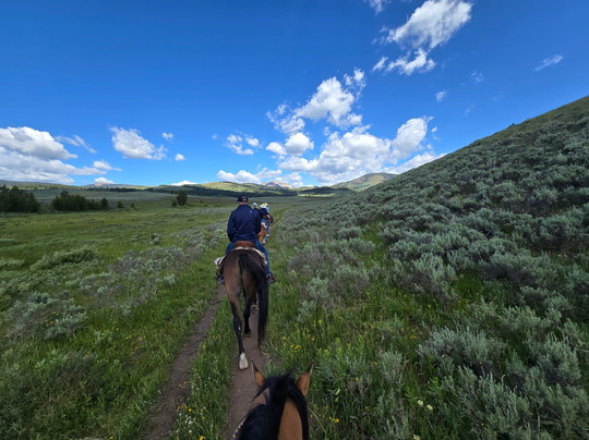 Yellowstone Rough Riders-西黄石镇必去景点
