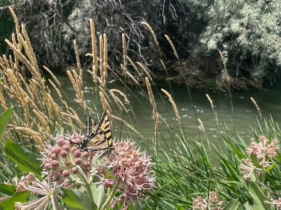 Rock Creek Park景点图片