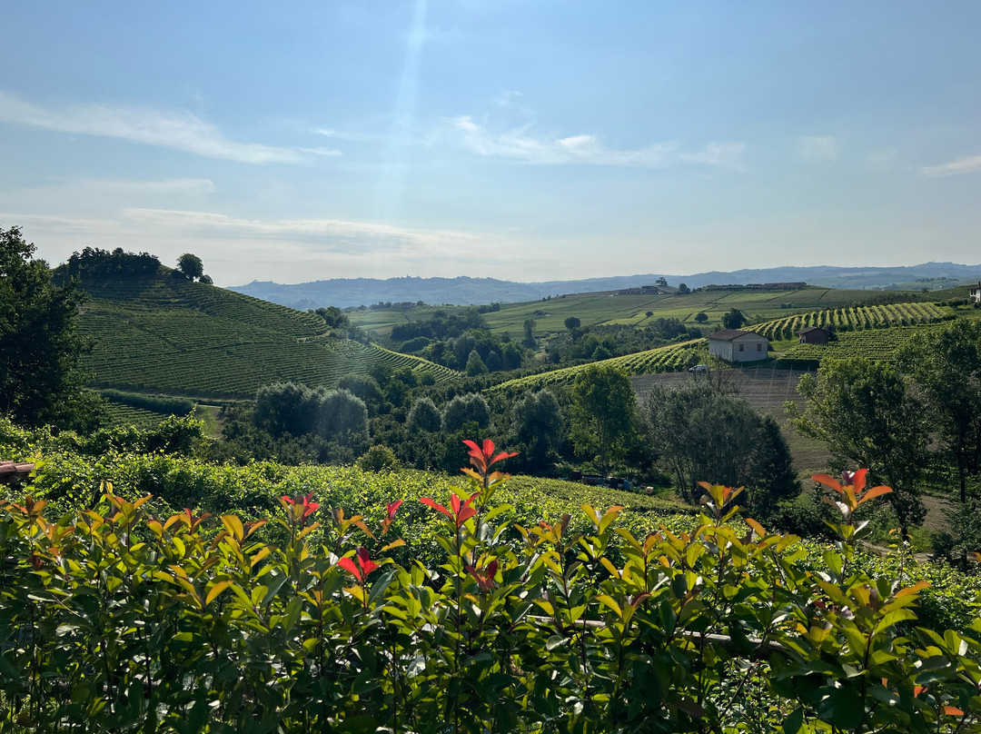 Borgo Roggeri