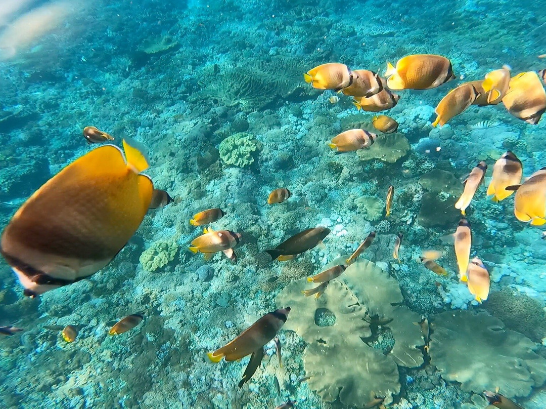Blue Lagoon Snorkeling Ceningan-努沙切宁安岛必去景点
