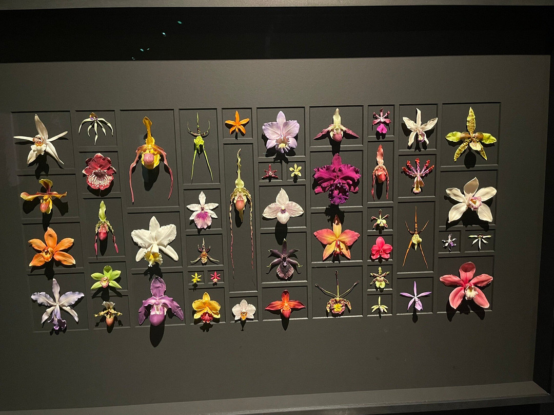 Science Museum of Minnesota-圣保罗必去景点