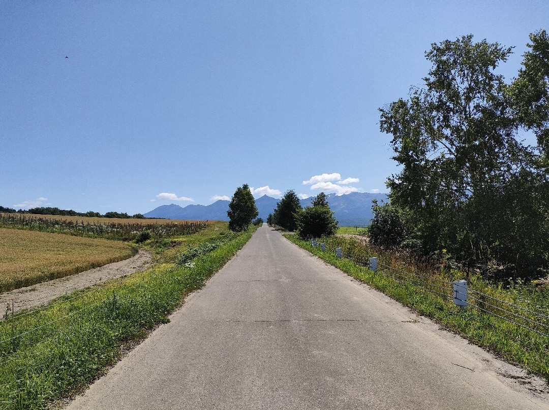 Asahino Yamabiko Highlands-上富良野町必去景点