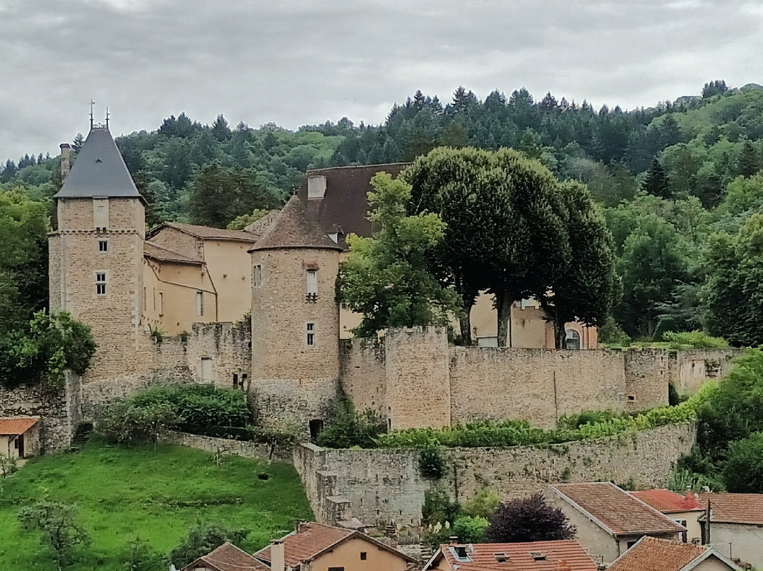 Chateau de Châteldon景点图片