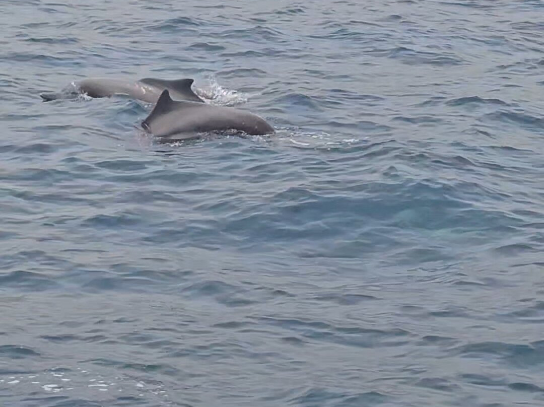 Khasab Sea Tours-海塞卜必去景点