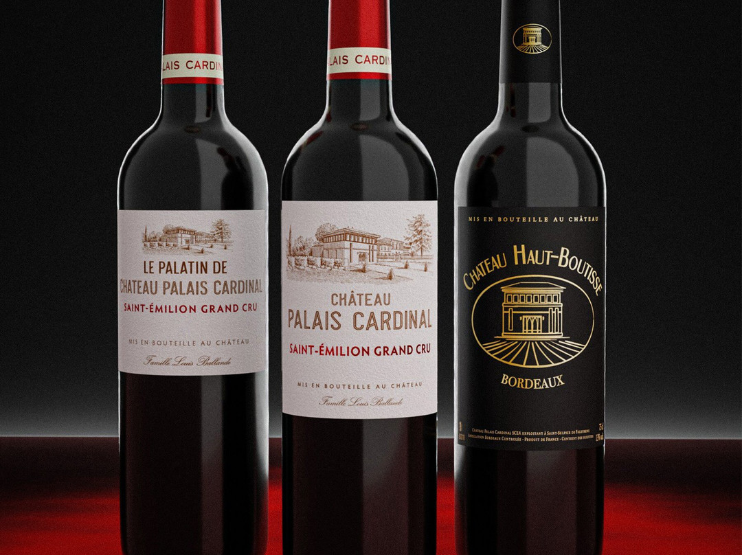 Chateau Palais Cardinal景点图片