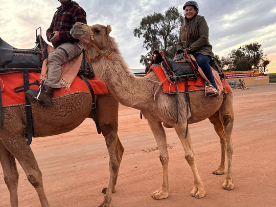 Silverton Outback Camels景点图片
