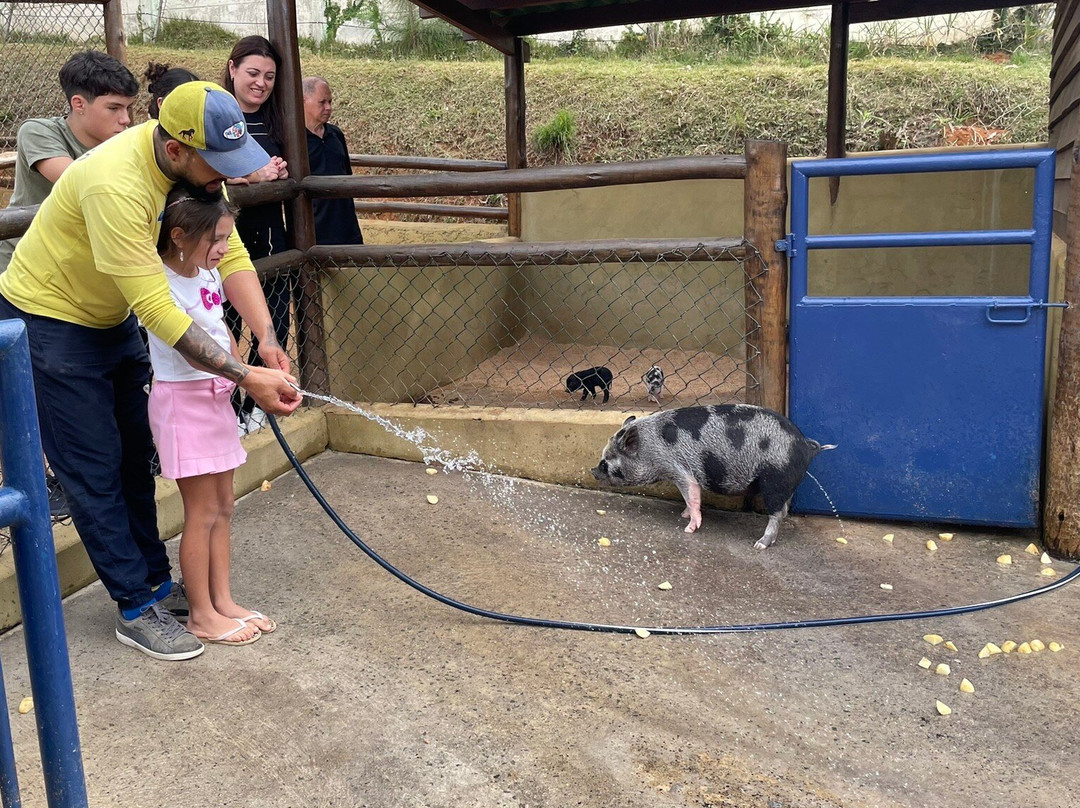 Mini Fazenda Pet Zoo-Cotia必去景点