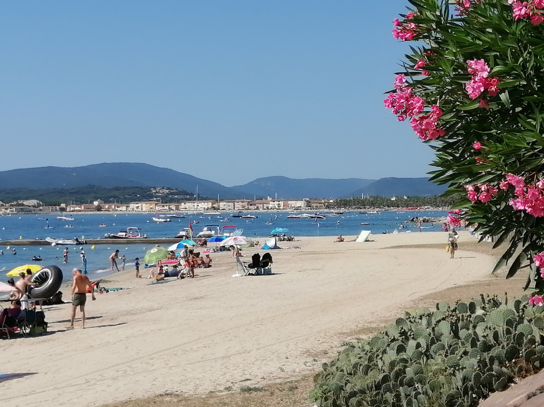 Plage du Gros Pin-格里莫必去景点