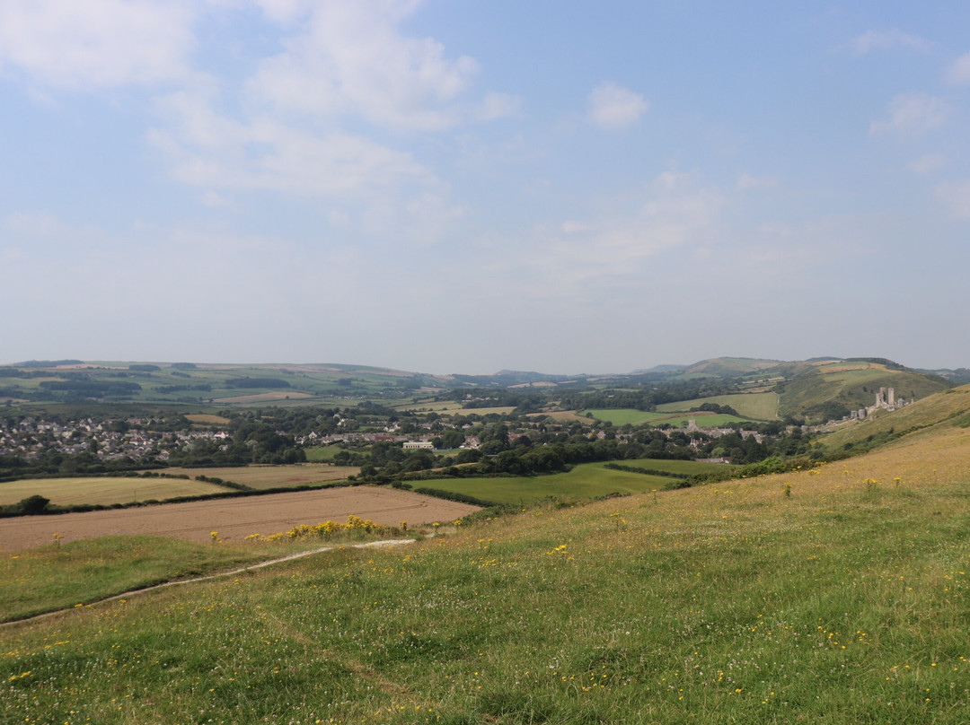 Purbeck Safari景点图片