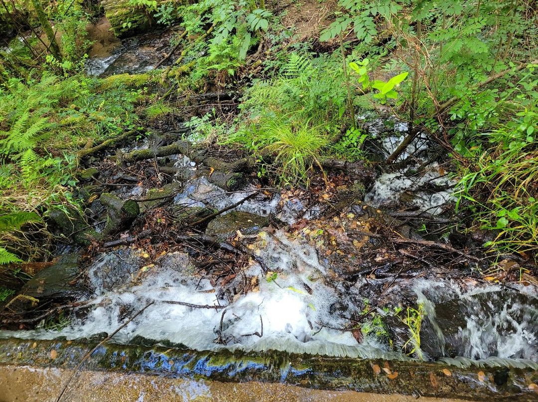 Ruta De Los Molinos Del Río Medio景点图片