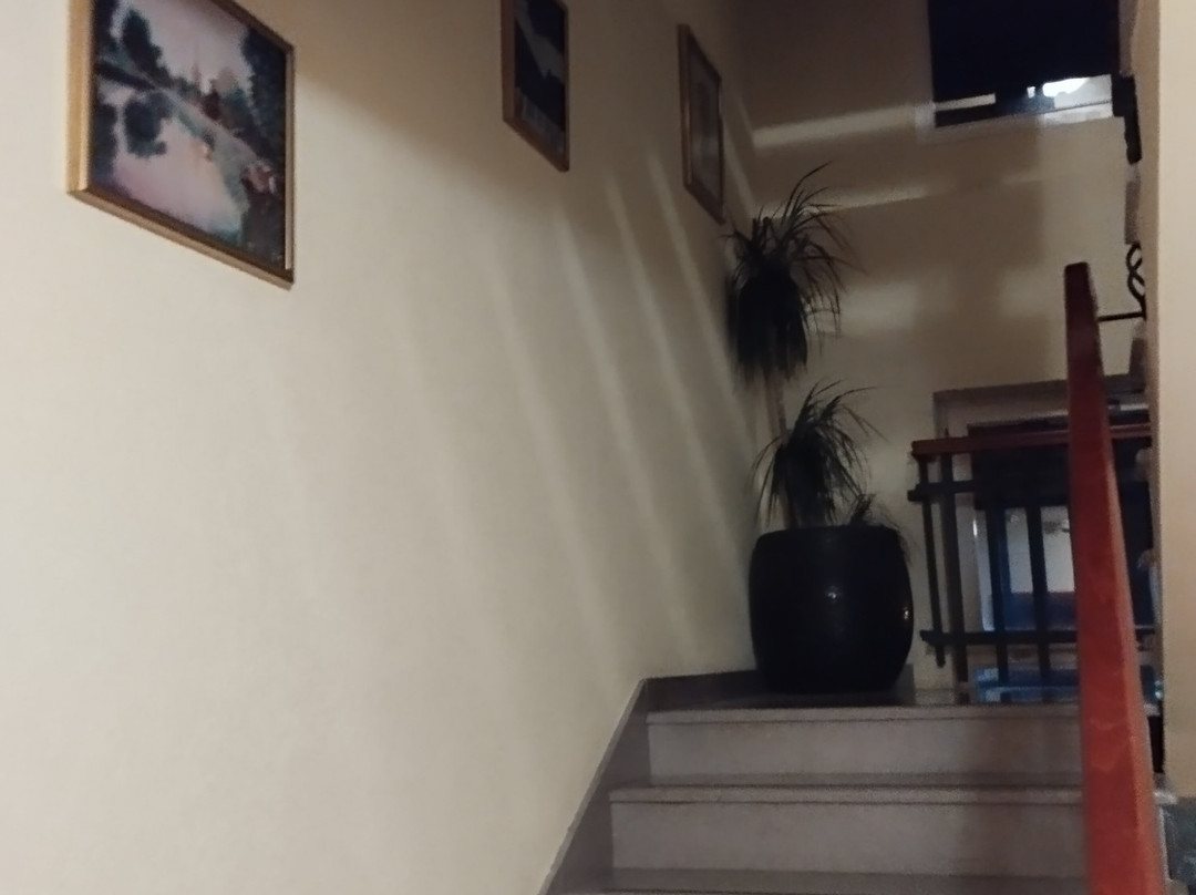 Montenegrino Hotel主图