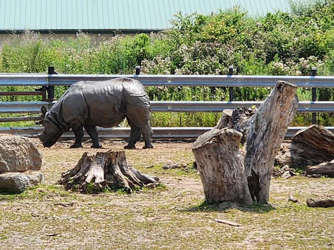 Safari Niagara-Stevensville必去景点