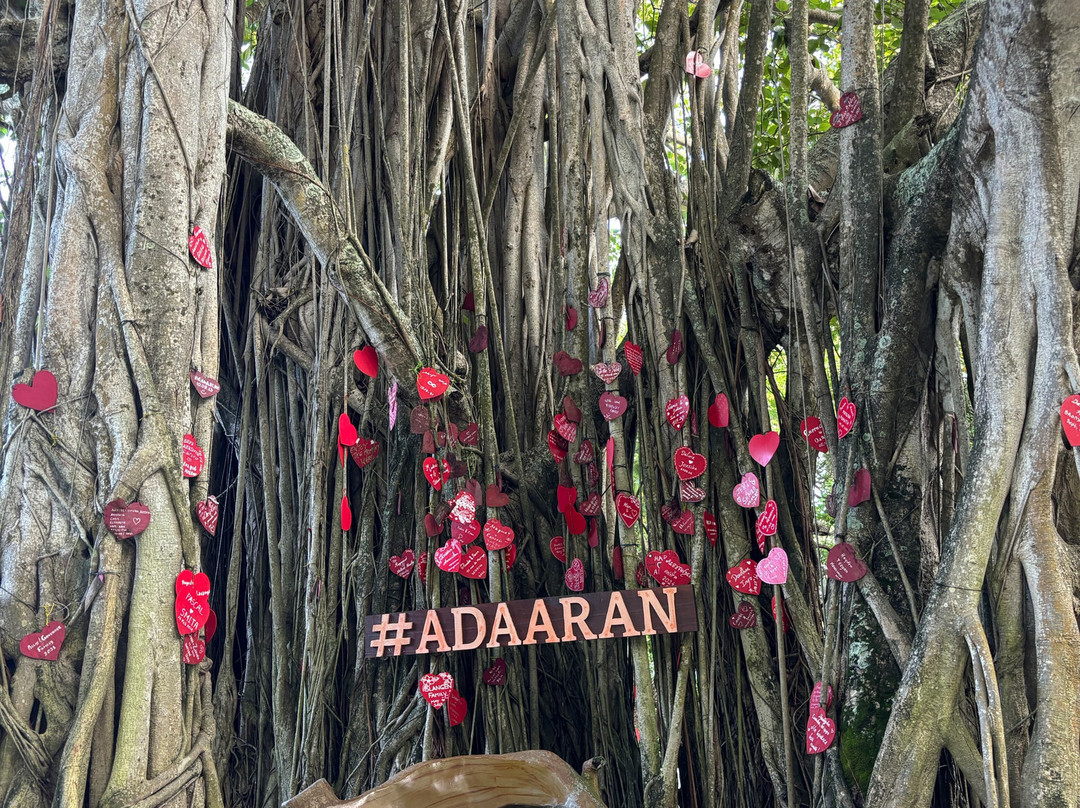 阿达兰胡度兰岛度假村主图