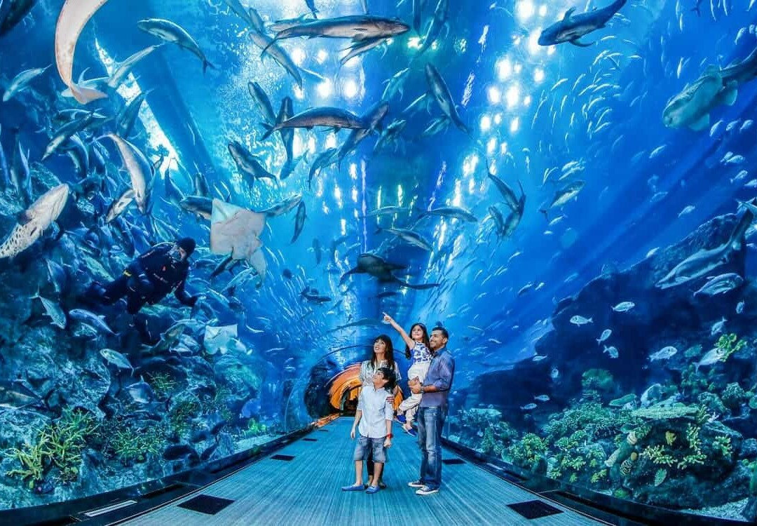 Dubai Adventure Holiday-迪拜必去景点