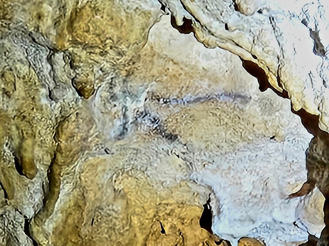 Grotte de Bernifal景点图片