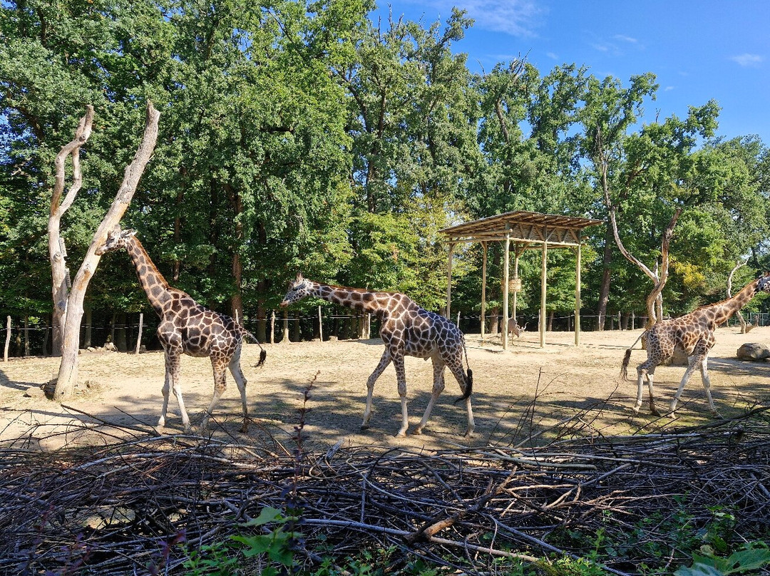 ZOO and Castle Zlin - Lesna-兹林必去景点