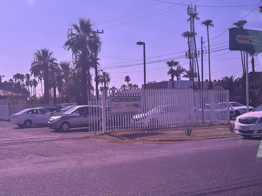 Cerro Prieto-Mexicali必去景点