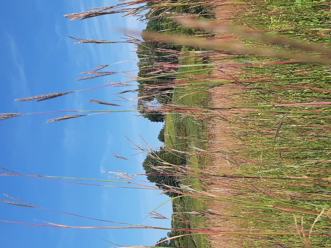 Frontenac State Park景点图片