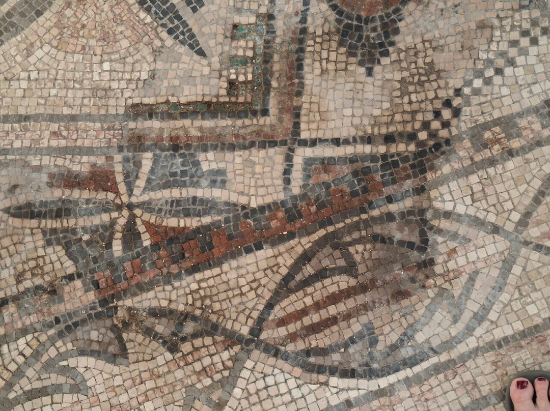 Basilica di Sant'Eufemia景点图片