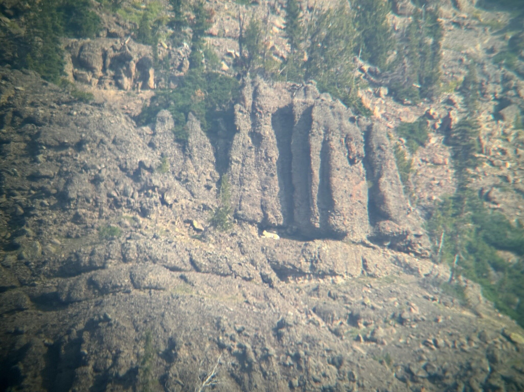Lamar Valley Touring景点图片