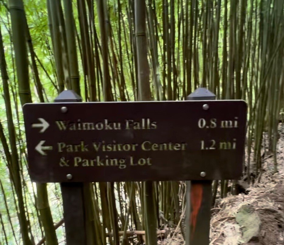 Waimoku Falls-毛伊岛必去景点