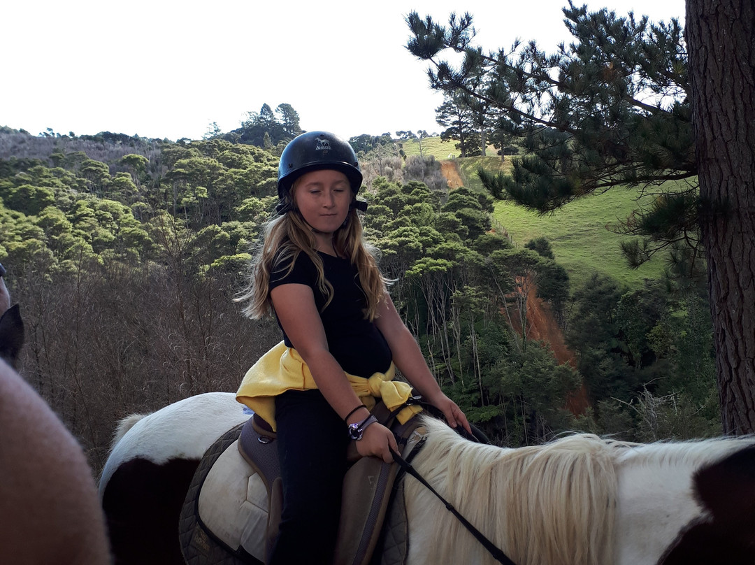 Karamu Trail Track-汉密尔顿必去景点